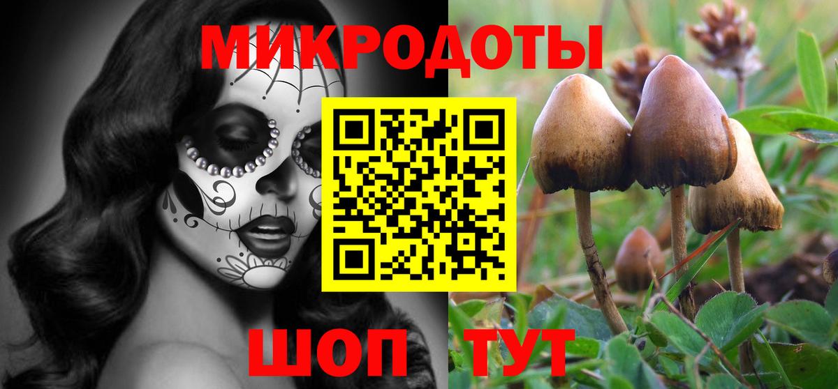 Псков  Псилоцибиновые грибы Magic Shrooms  Вход с VPN 
